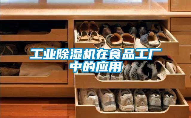 工業91看片在线下载機在食品工廠中的應用
