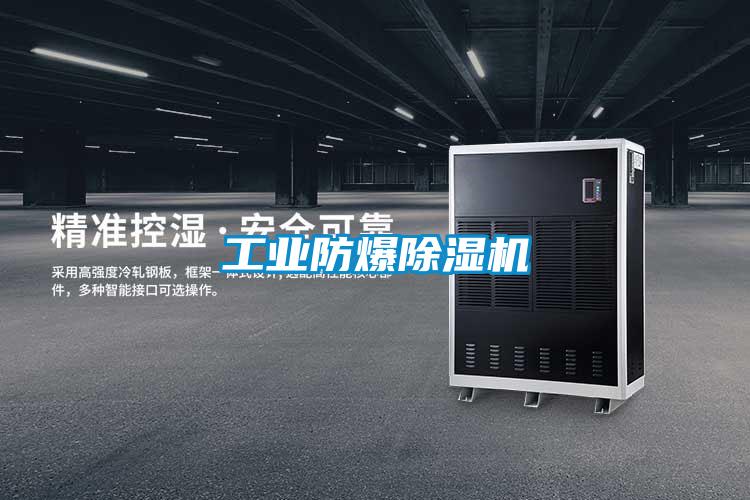 工業防爆91看片在线下载機