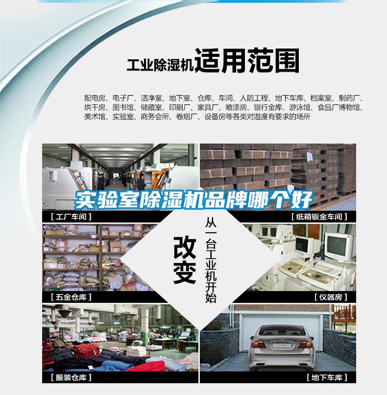 實驗室91看片在线下载機品牌哪個好