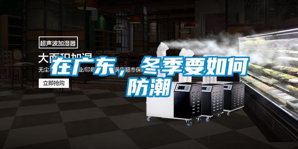 在廣東，冬季要如何防潮