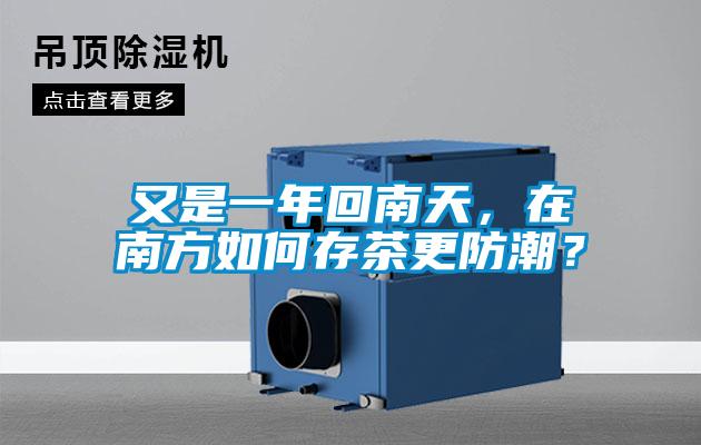 又是一年回南天，在南方如何存茶更防潮？