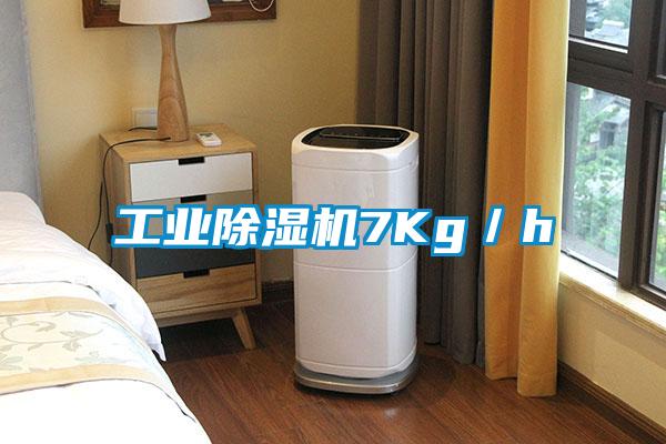 工業91看片在线下载機7Kg／h