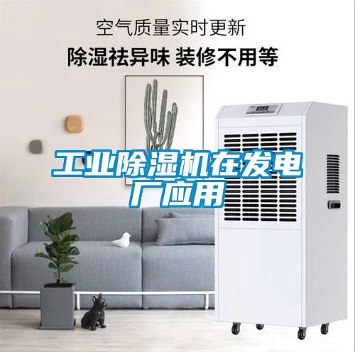 工業91看片在线下载機在發電廠應用