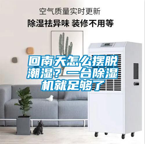 回南天怎麽擺脫潮濕？一台91看片在线下载機就足夠了