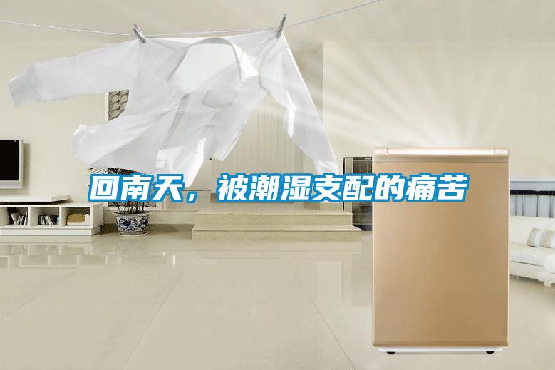 回南天，被潮濕支配的痛苦