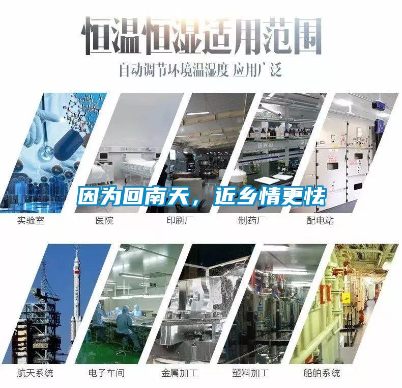因為回南天，近鄉情更怯