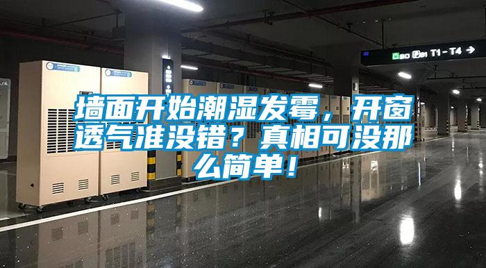 牆麵開始潮濕發黴，開窗透氣準沒錯？真相可沒那麽簡單！