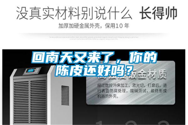 回南天又來了，你的陳皮還好嗎？