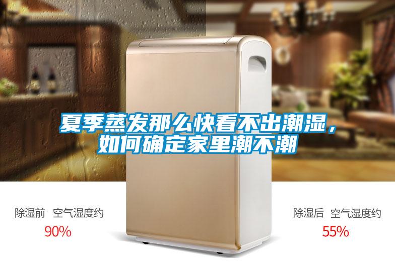 夏季蒸發那麽快看不出潮濕，如何確定家裏潮不潮