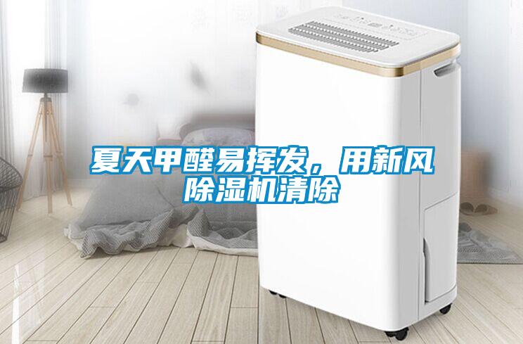 夏天甲醛易揮發，用新風91看片在线下载機清除