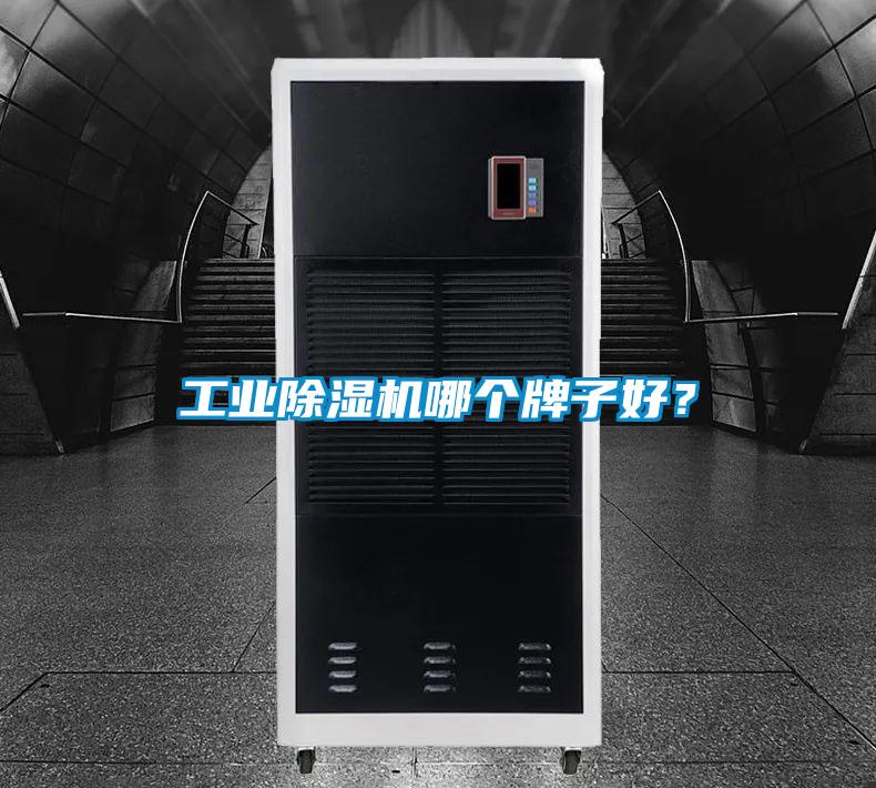 工業91看片在线下载機哪個牌子好？
