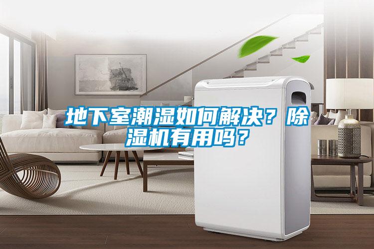 地下室潮濕如何解決？91看片在线下载機有用嗎？
