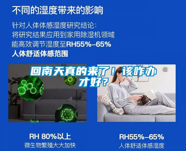 回南天真的來了！該咋辦才好？