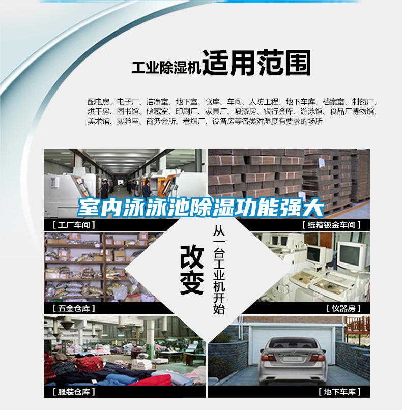 室內泳泳池91看片在线下载功能強大