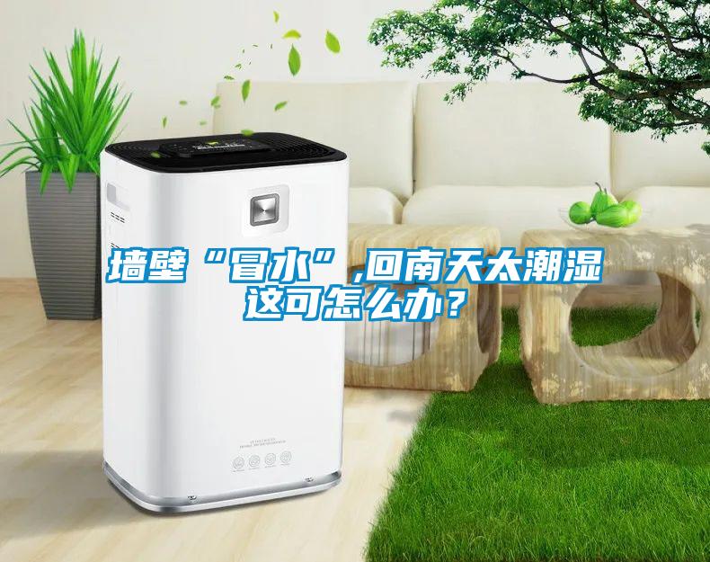 牆壁“冒水”,回南天太潮濕這可怎麽辦？