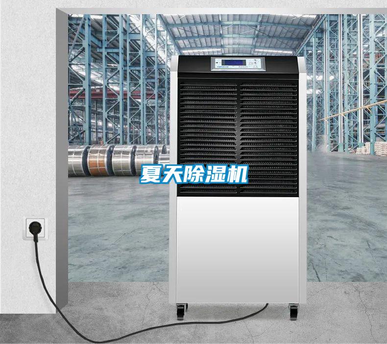 夏天91看片在线下载機
