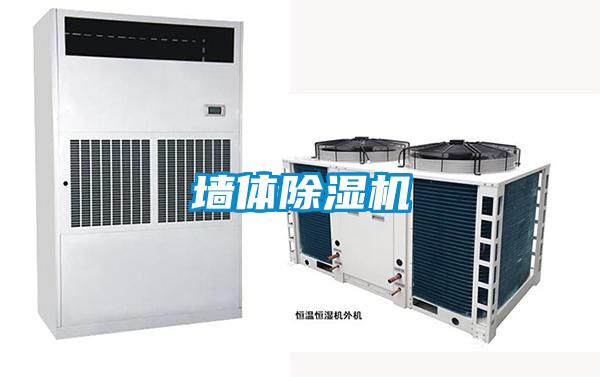 牆體91看片在线下载機