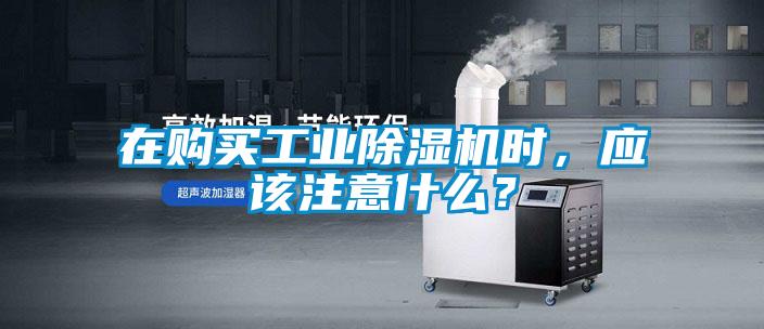 在購買工業91看片在线下载機時，應該注意什麽？