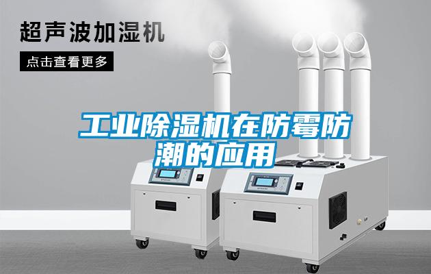 工業91看片在线下载機在防黴防潮的應用