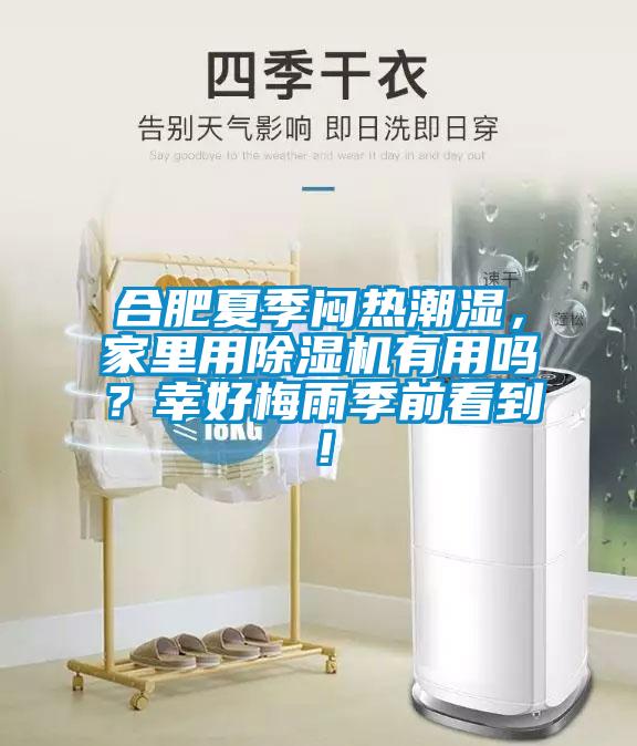 合肥夏季悶熱潮濕，家裏用91看片在线下载機有用嗎？幸好梅雨季前看到！