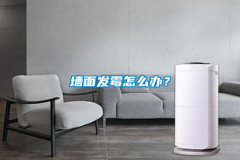 牆麵發黴怎麽辦？