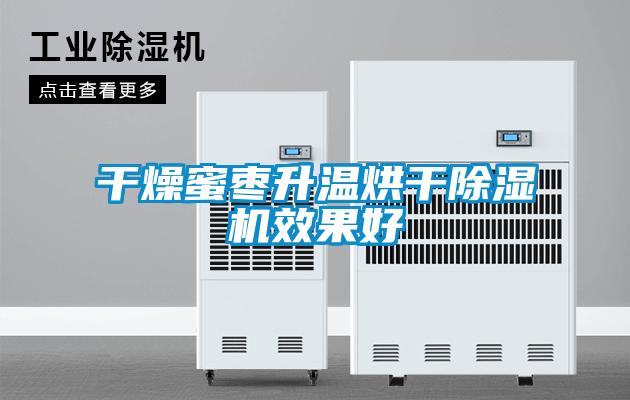 幹燥蜜棗升溫烘幹91看片在线下载機效果好