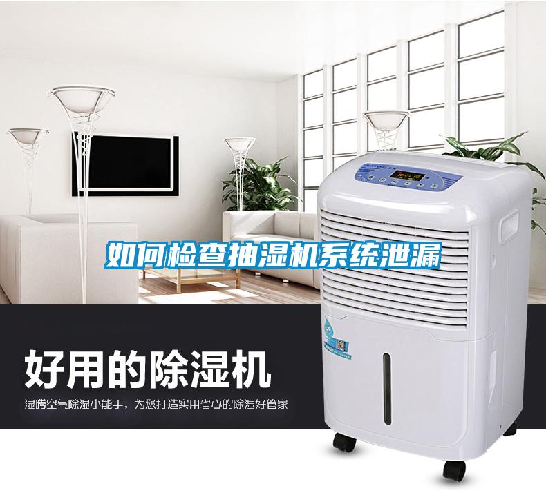 如何檢查抽濕機係統泄漏