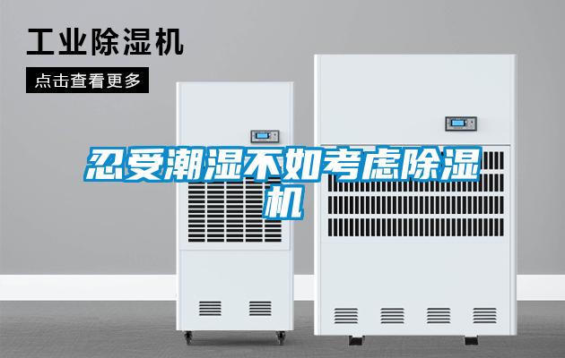 忍受潮濕不如考慮91看片在线下载機