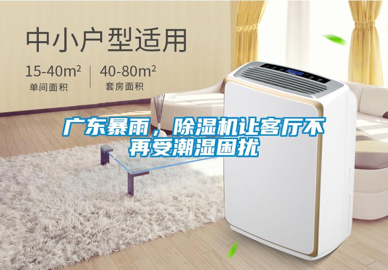 廣東暴雨，91看片在线下载機讓客廳不再受潮濕困擾