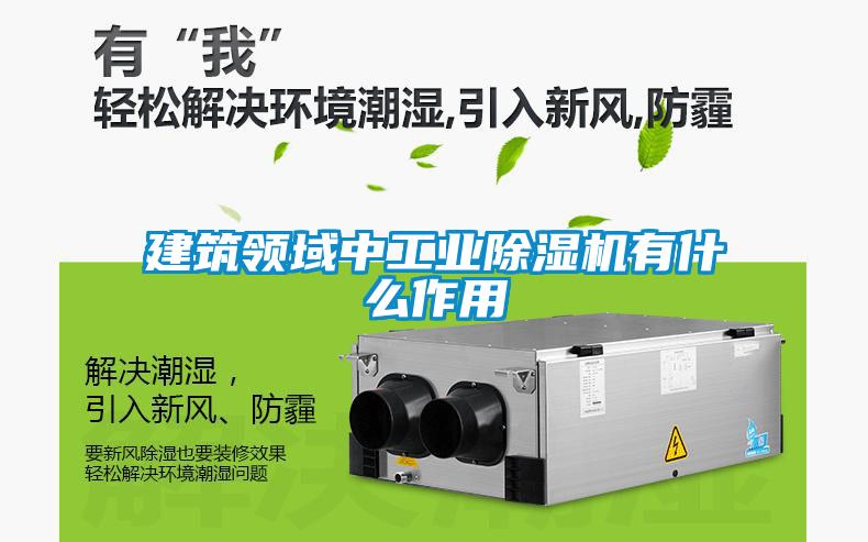 建築領域中工業91看片在线下载機有什麽作用
