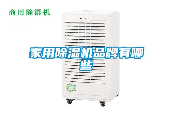 家用91看片在线下载機品牌有哪些