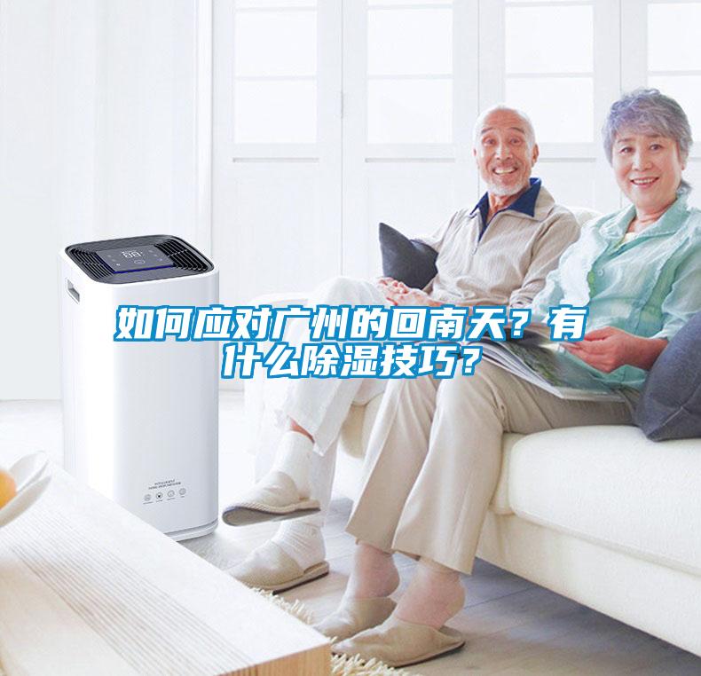 如何應對廣州的回南天？有什麽91看片在线下载技巧？