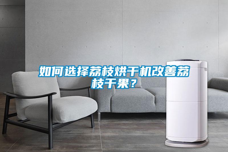 如何選擇荔枝烘幹機改善荔枝幹果？