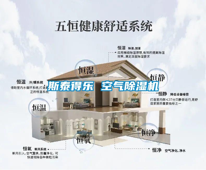 斯泰得樂 空氣91看片在线下载機