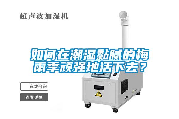 如何在潮濕黏膩的梅雨季頑強地活下去？