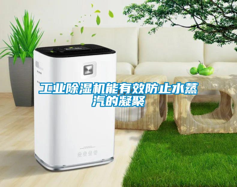 工業91看片在线下载機能有效防止水蒸汽的凝聚