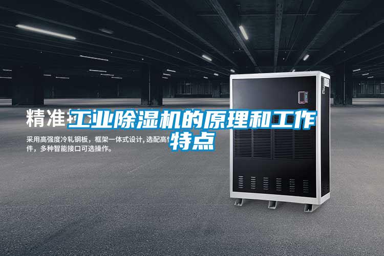 工業91看片在线下载機的原理和工作特點