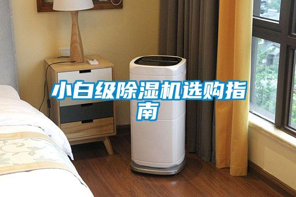 小白級91看片在线下载機選購指南