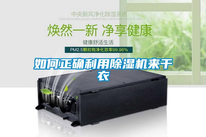 如何正確利用91看片在线下载機來幹衣