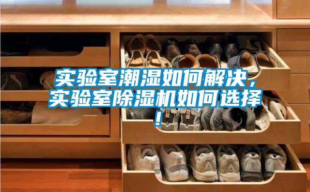 實驗室潮濕如何解決，實驗室91看片在线下载機如何選擇！