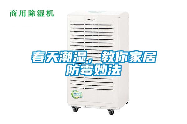 春天潮濕，教你家居防黴妙法