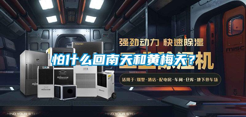 怕什麽回南天和黃梅天？