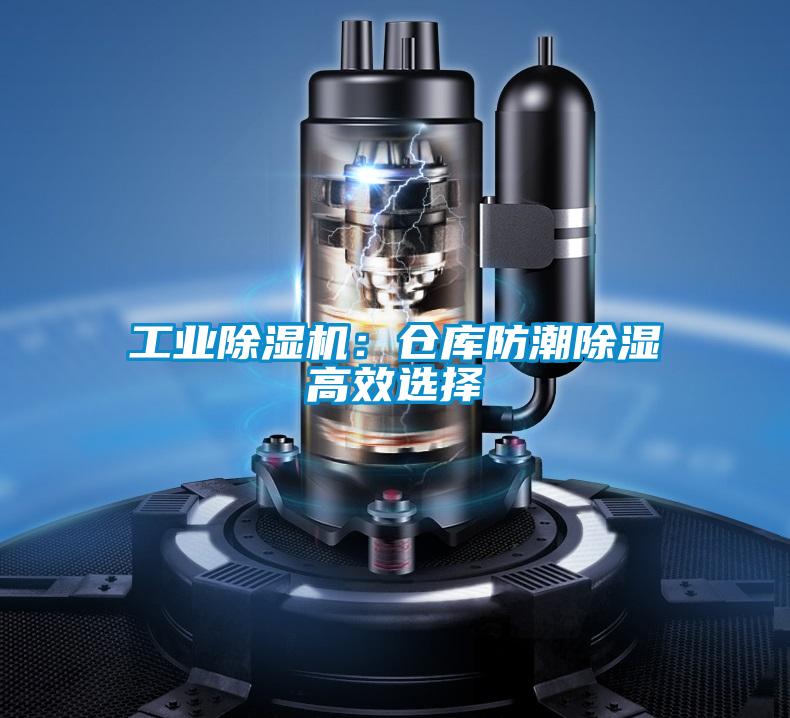 工業91看片在线下载機：倉庫防潮91看片在线下载高效選擇