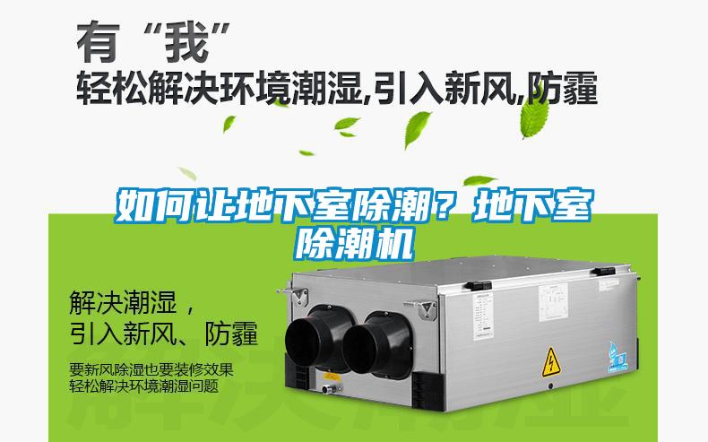 如何讓地下室除潮？地下室除潮機