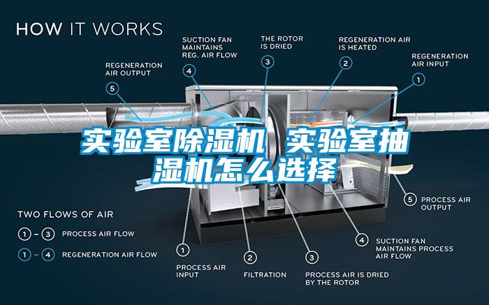 實驗室91看片在线下载機 實驗室抽濕機怎麽選擇