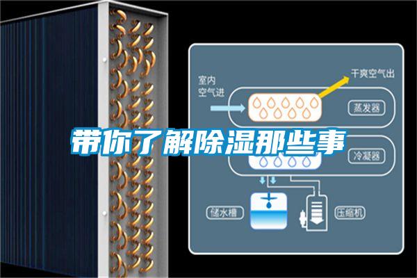 帶你了解91看片在线下载那些事