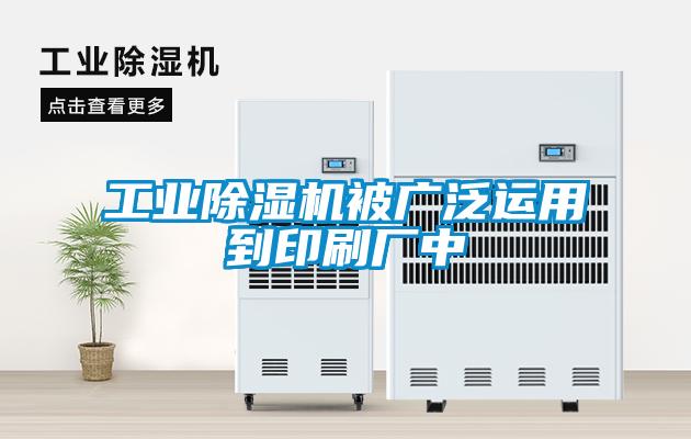 工業91看片在线下载機被廣泛運用到印刷廠中
