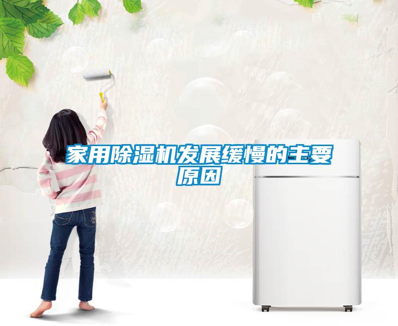 家用91看片在线下载機發展緩慢的主要原因