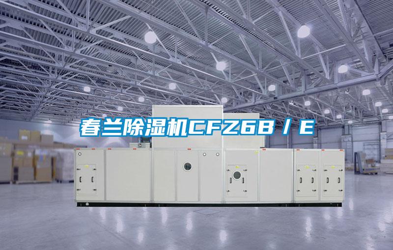 春蘭91看片在线下载機CFZ6B／E