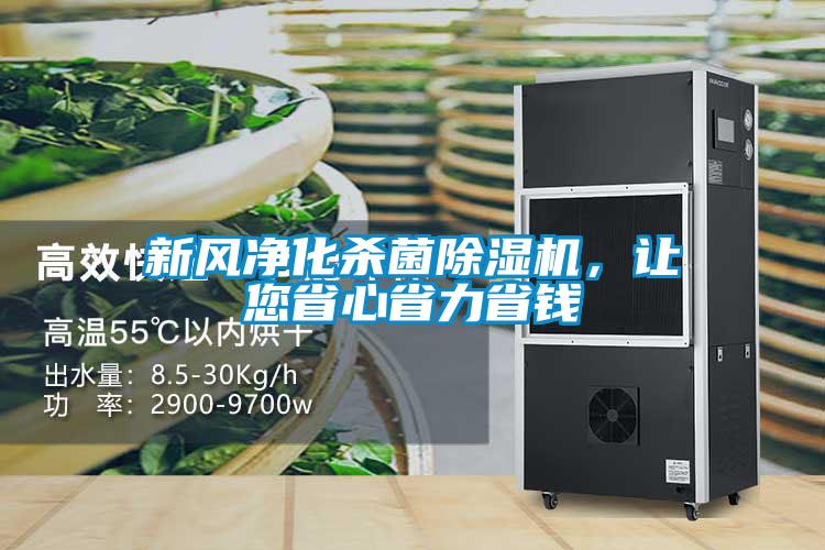 新風淨化殺菌91看片在线下载機，讓您省心省力省錢